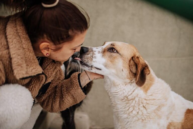 Messenger_creation_551D14D2-B928-4705-BCC9-9CFF7167BDA7