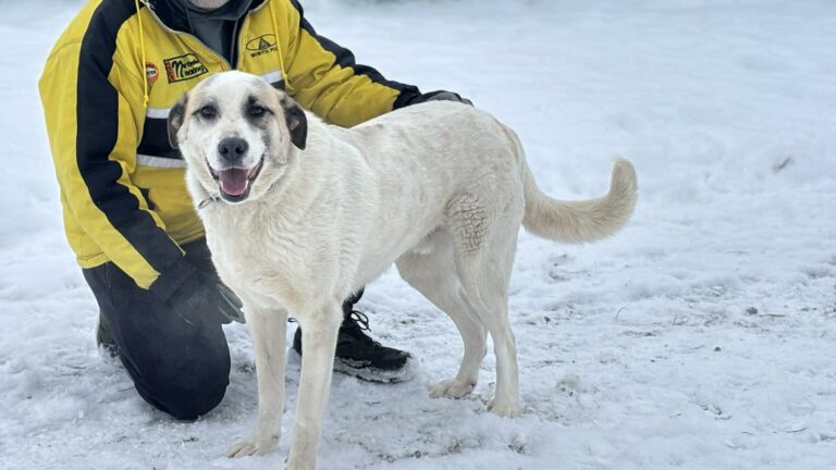 b440b71c-abde-4393-a7d3-317783e83721