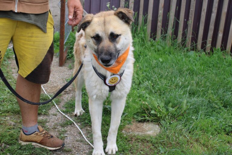 447612808_7659027144216307_7431710820404292831_n