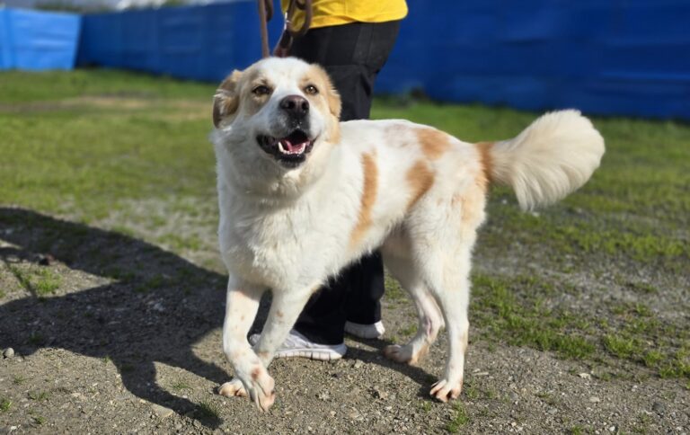 492096881_9980318035331771_8181354303473498430_n