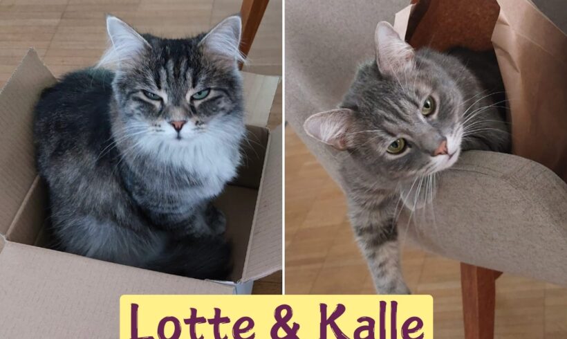 LOTTE&KALLE, ehem. Branca und Lovis