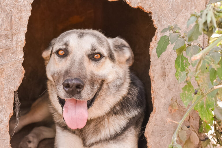 456695992_8051906918221637_2253843827312612236_n