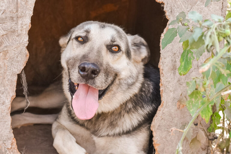 456904649_8051907834888212_3131836364869259235_n