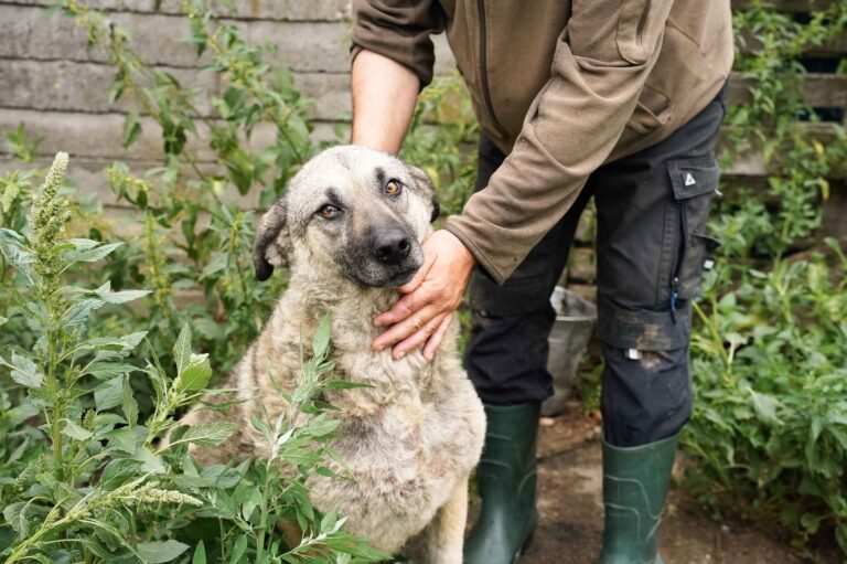 FB_IMG_1756196208481