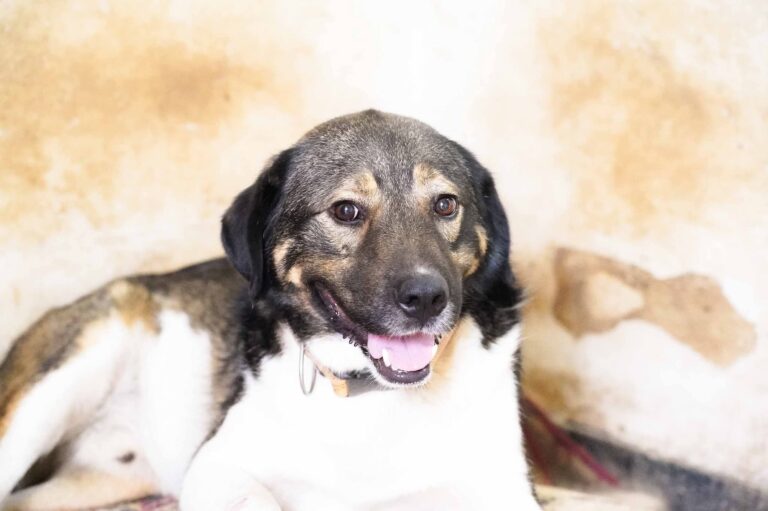 FB_IMG_1766937726193