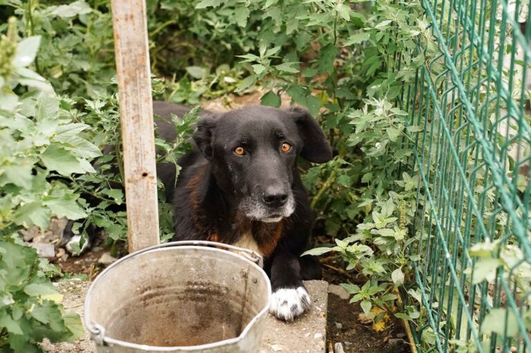 FB_IMG_1756197430720