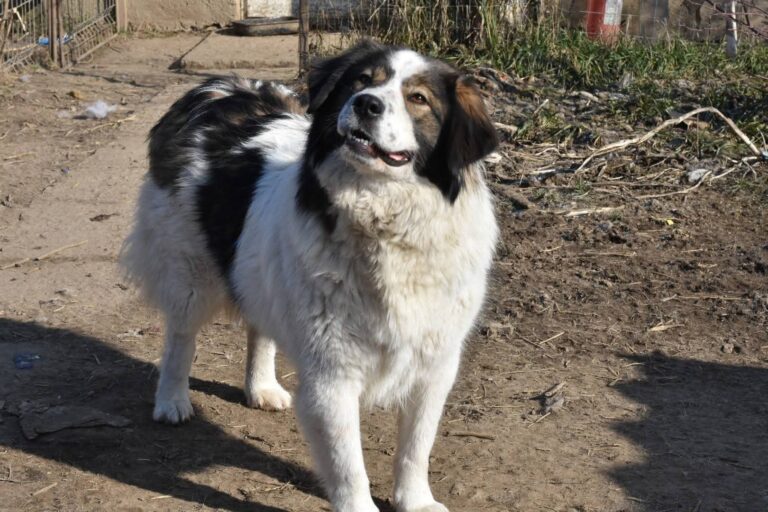 FB_IMG_1766936387794