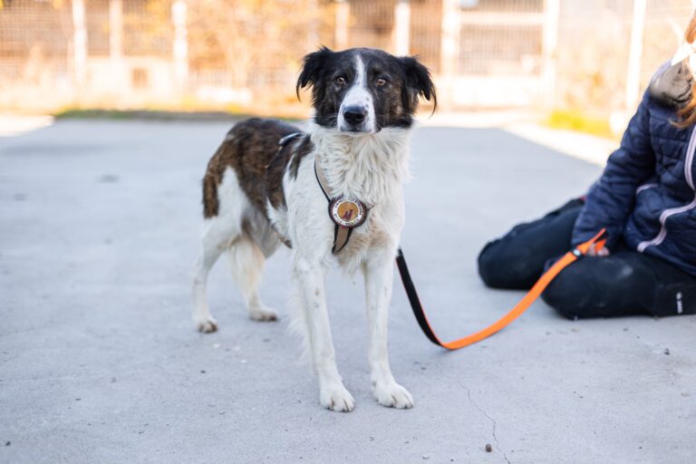 464336964_8601024279953012_8497201907133343980_n