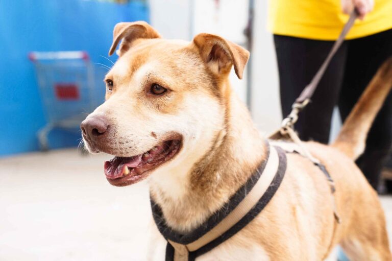 514262801_122136693404812415_6089422850910671263_n