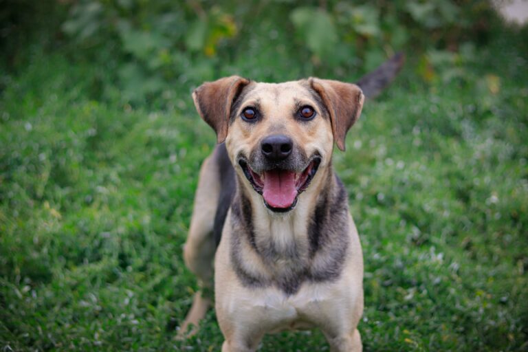 537461420_3082235925287856_9185327265273532774_n