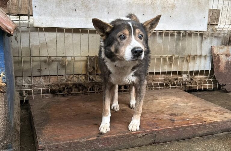 645435083_1259864586103022_5692136381413533144_n