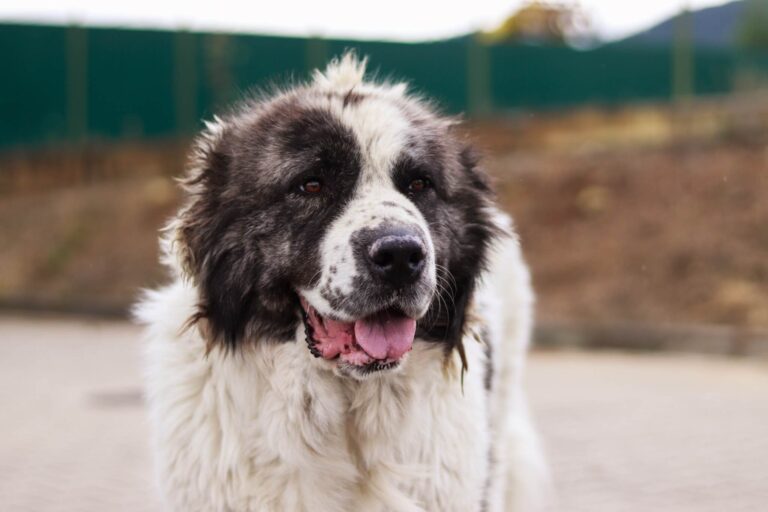 10ef487e-4d68-48d4-ac50-eeac03933a04