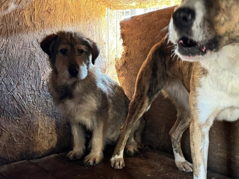 465039490_899806635442154_562487945152548958_n