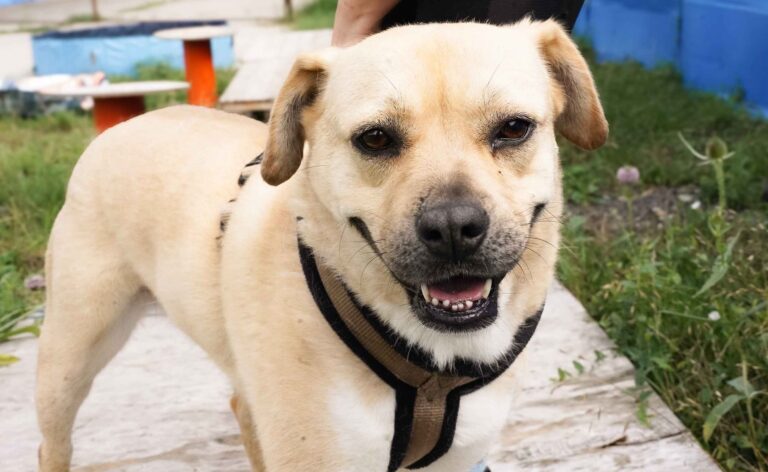 534309613_122136698414812415_2908951549132607740_n