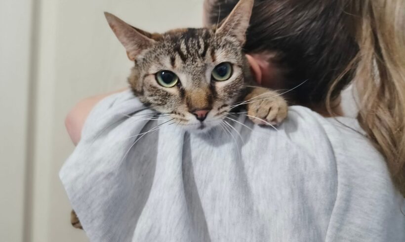 LUNI