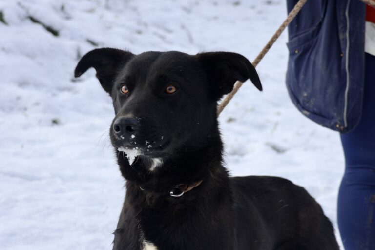 468396876_2912175068947667_104575488418140102_n