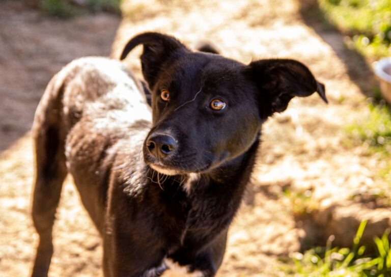 470222236_8984856881578484_7324830485106744358_n