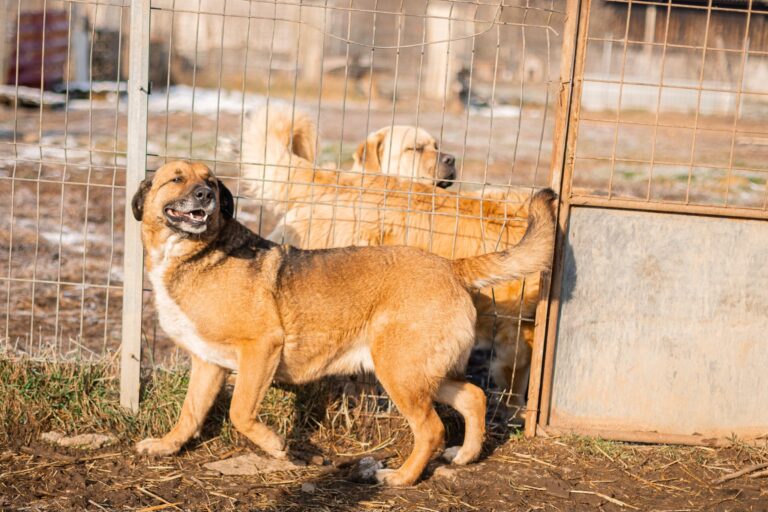 476837924_9197625066959594_8637775722848714471_n-min