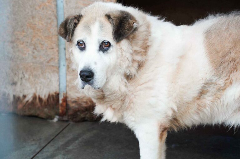 530272393_122135528138812415_1410145250369732887_n