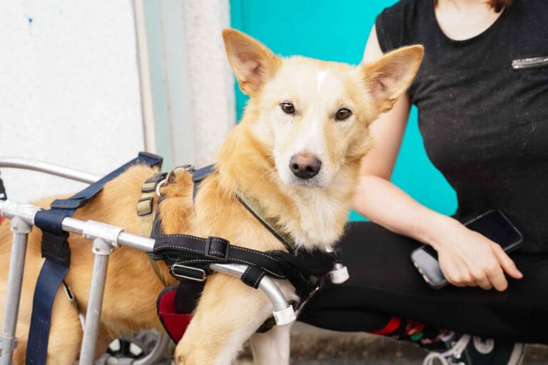 531396965_122136466106812415_5805529843675222856_n