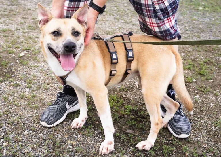 533476495_122136698948812415_4064622849726108324_n