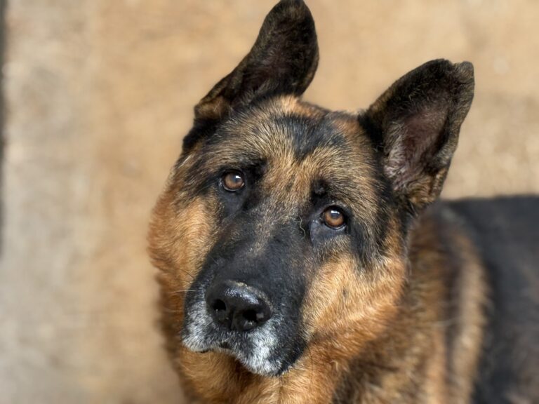 559971798_25639257195661268_6065262039933576457_n