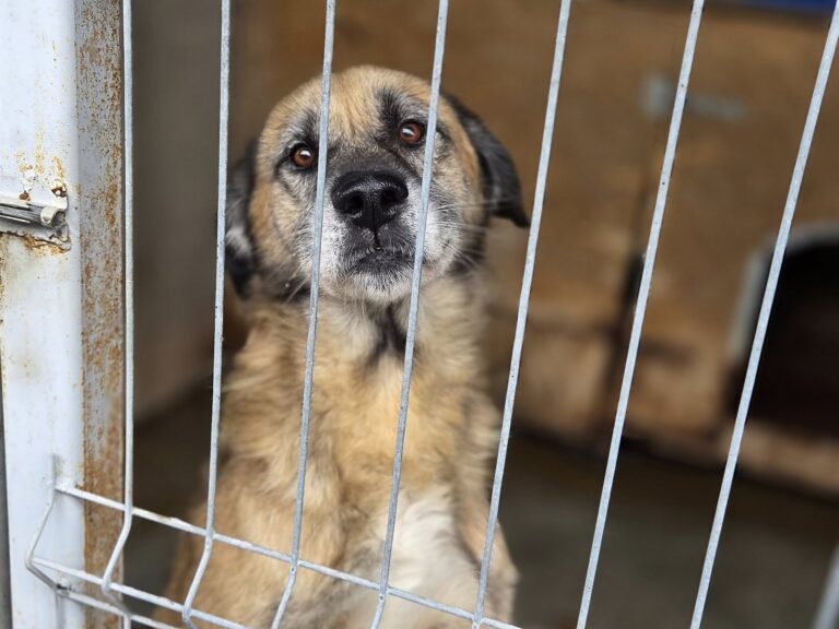 560379308_3388879084586309_8177335135180387836_n