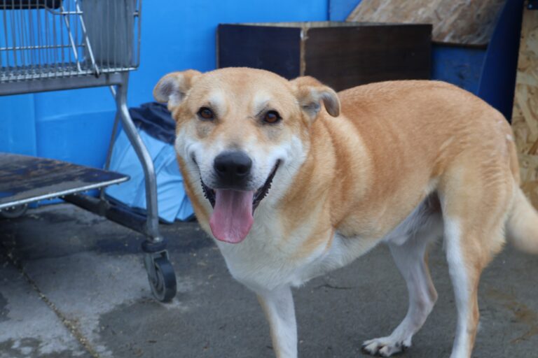 566227667_1158013736288108_4321420161091788403_n