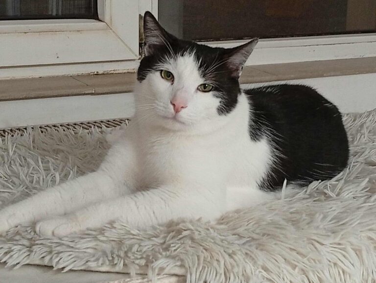 588609191_801891859518302_17170877401890385_n