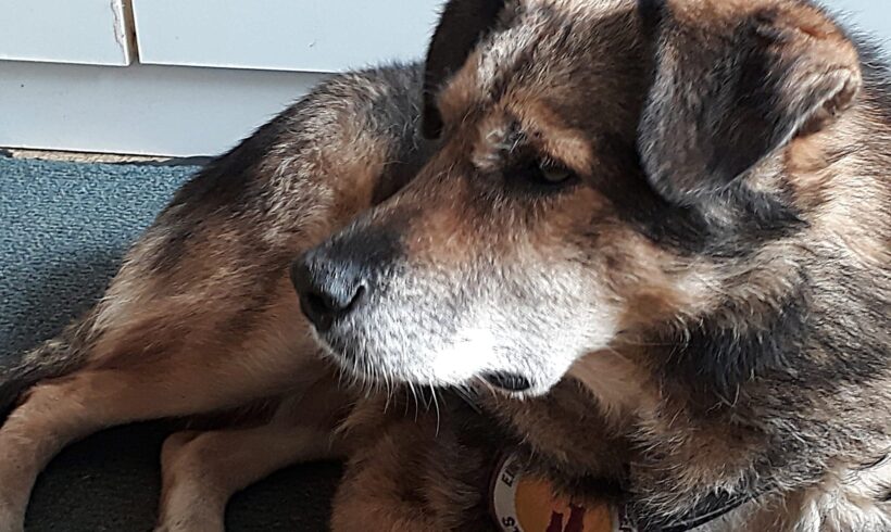 OSKAR