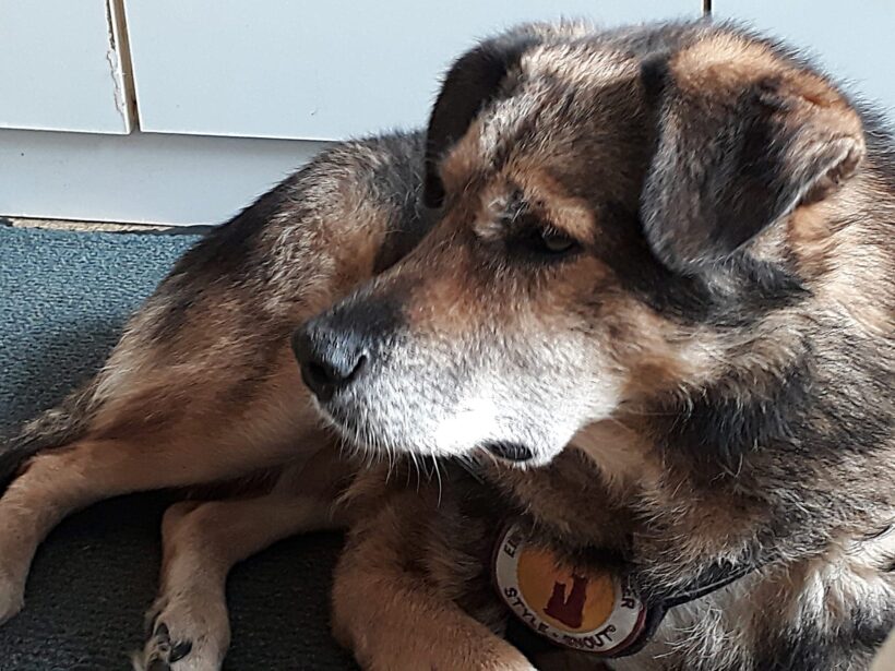 OSKAR