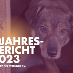 Jahresbericht 2023