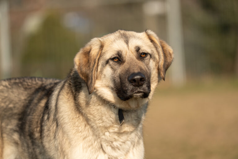 SophieZimmermann-2132