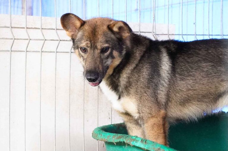 514246572_122136576488812415_6774373946661355174_n