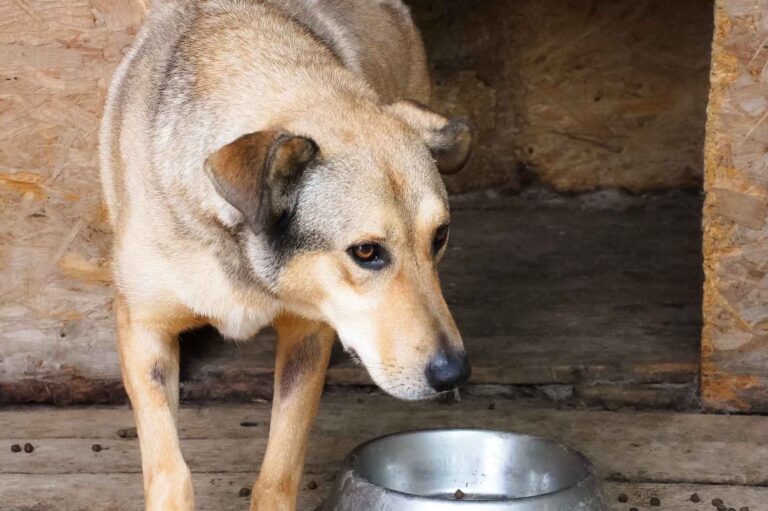 514261578_122136581444812415_3596815922800834764_n