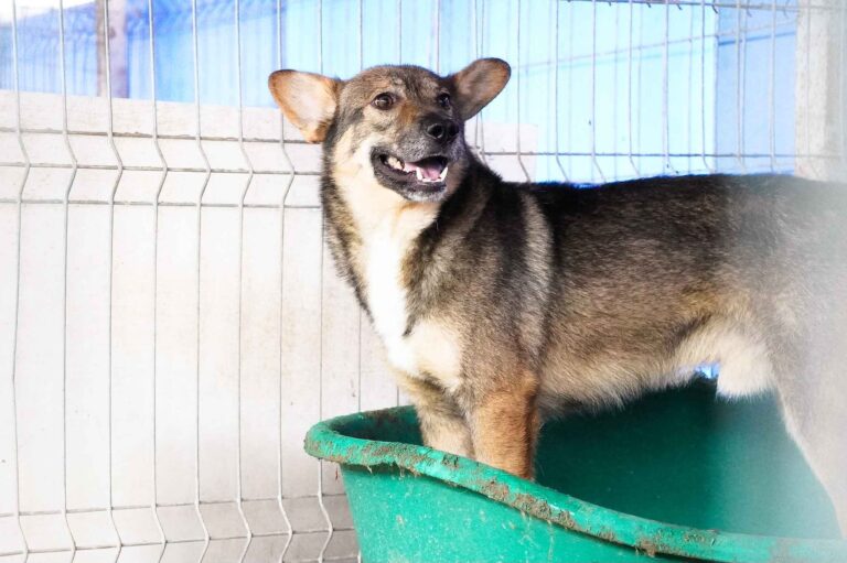 514269165_122136576482812415_6270572025034081378_n