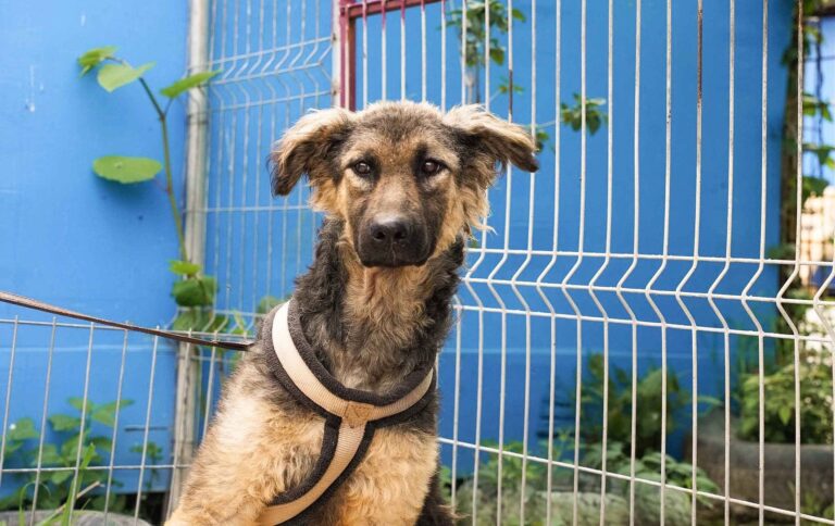 531107959_122136691670812415_4491823220121071285_n