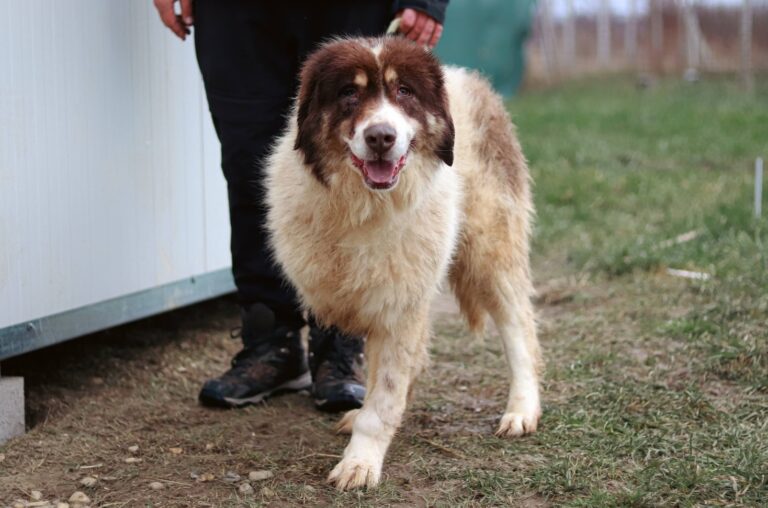 605637787_3212662955578485_4984785762366036052_n