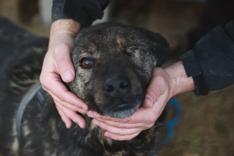 606418761_3212616985583082_7893697074697797443_n