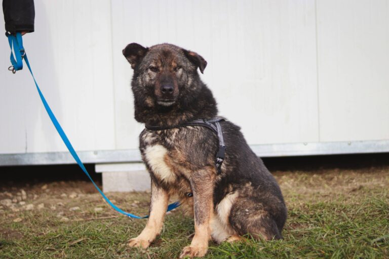 606620833_3212615365583244_5746482899125886043_n