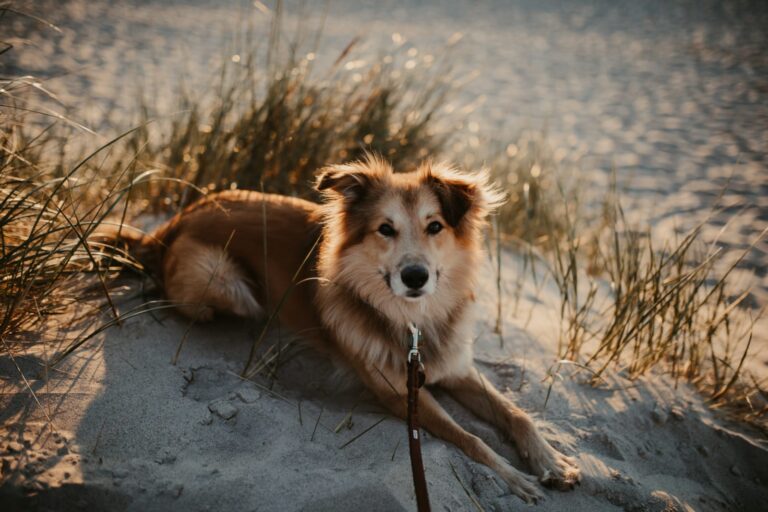 958120bb-a78d-4258-815e-377c5b307482