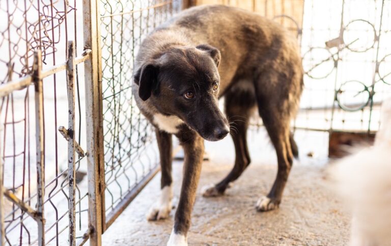 464858294_8644854488903324_7932907741294851350_n