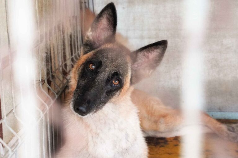 531306842_122136013238812415_752479360093346041_n