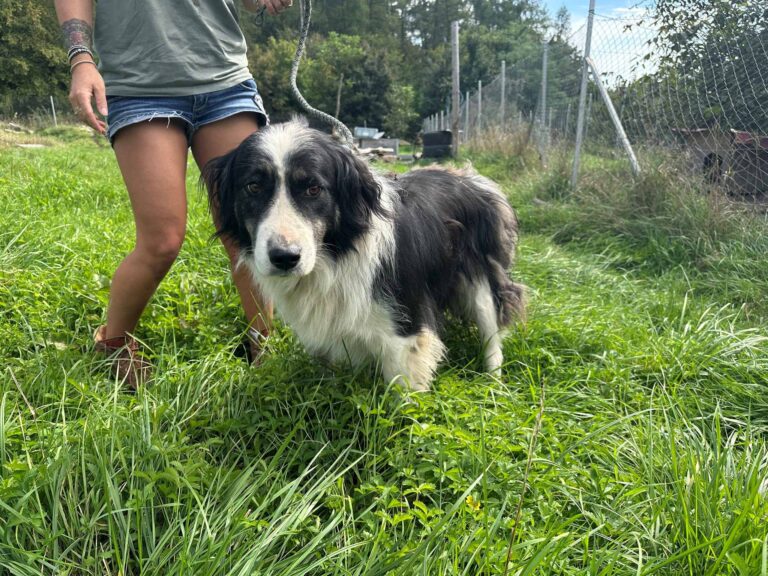 607427362_25361980023460808_946977794516980897_n