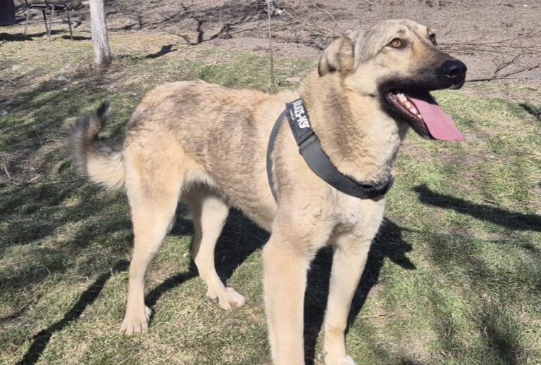 652288100_26295094136843889_2965430952928303687_n