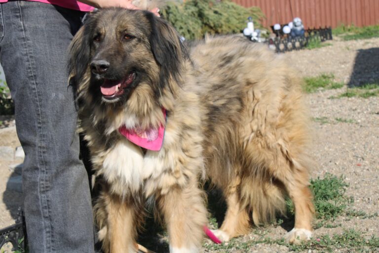 FB_IMG_1755456019694