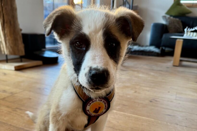 MEIKY