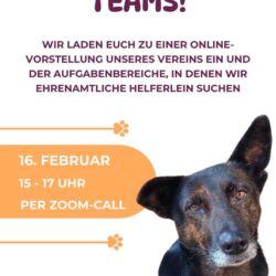 Lust auf Tierschutz? Zoom am 16.02! 🐶🐱