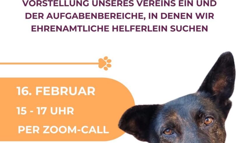 Lust auf Tierschutz? Zoom am 16.02! 🐶🐱