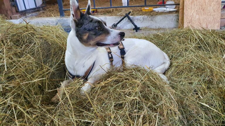 WhatsApp Image 2025-07-15 at 10.32